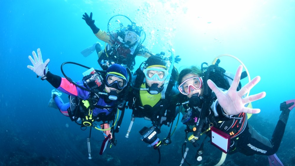 伊豆の海はダイビングのメッカ