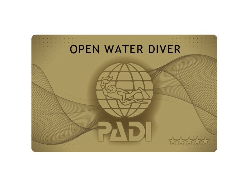 PADIゴールドカード