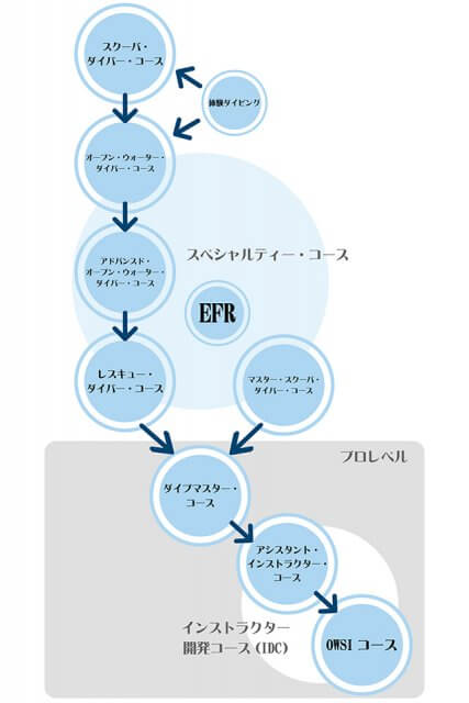 PADIランクチャート