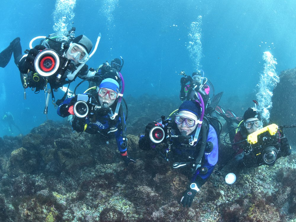 ダイビングで知り合った仲間たち