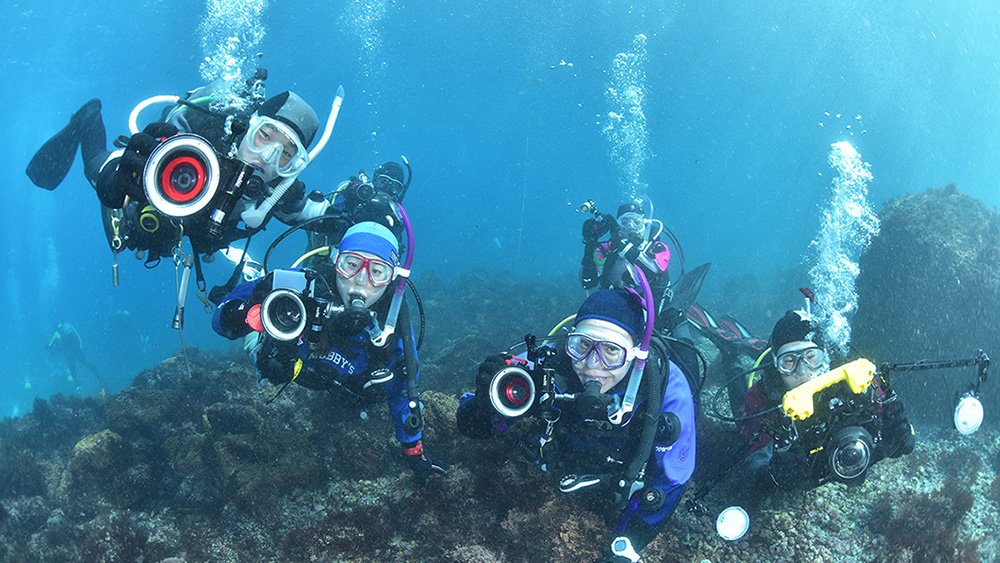 ダイビングで知り合った仲間たち