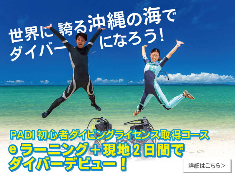 沖縄の海でダイバーになろう！