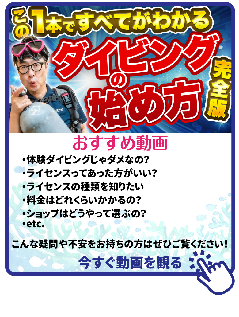 動画で解説 ダイビングの始め方