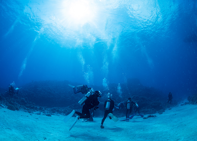 体験ダイビングとはどう違う？