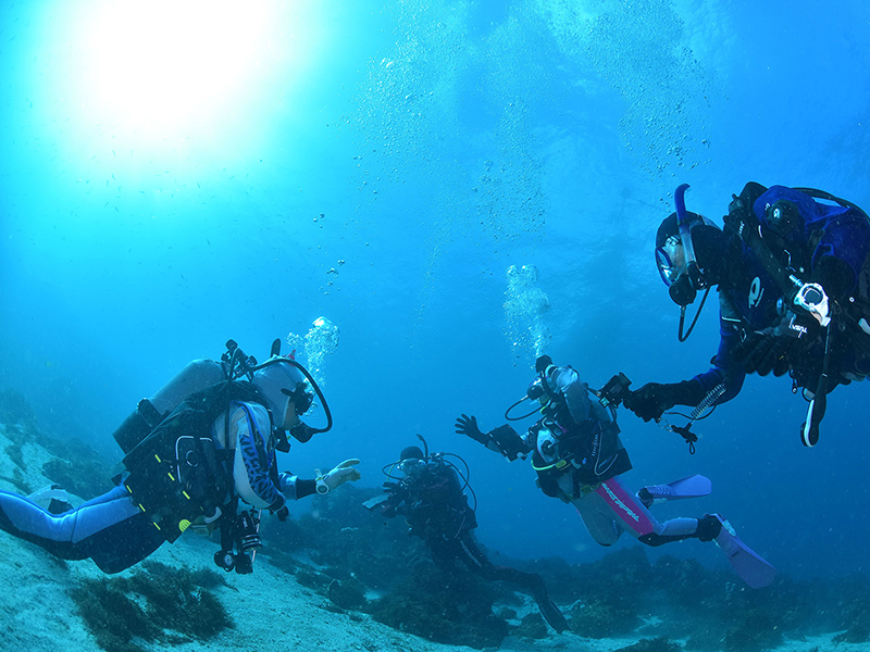 ドライスーツを買うならパパラギで