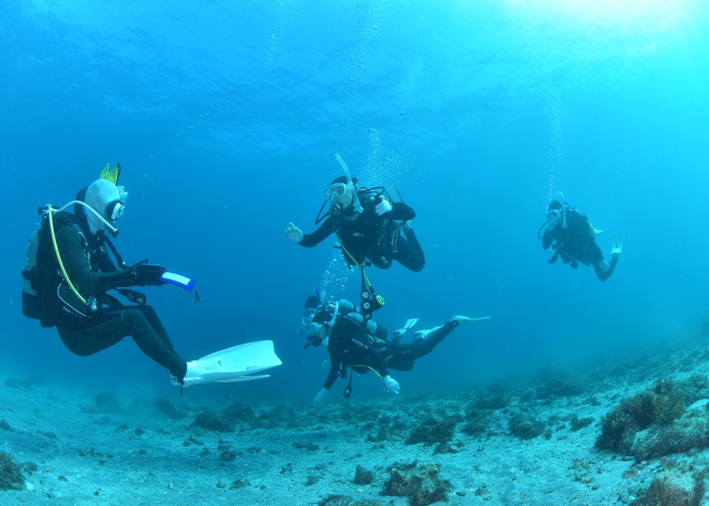 都市型ショップ