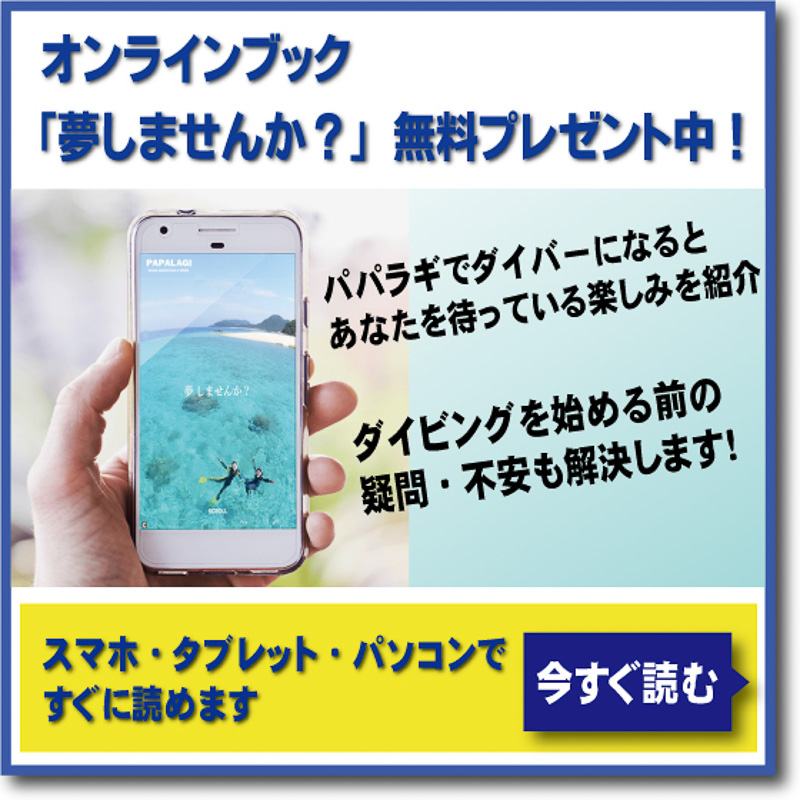 オンラインブック「夢しませんか？」無料プレゼント中