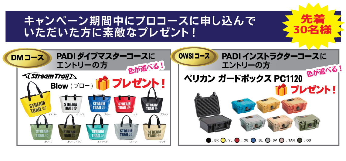 プロコースチャレンジキャンペーン特典