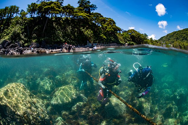 富戸：ヨコバマ エントリー風景