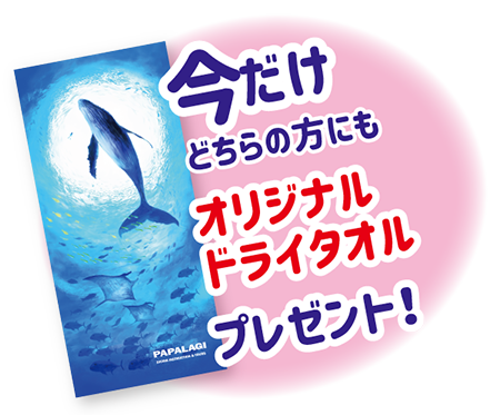 今月の限定特典
