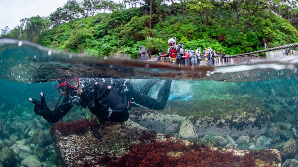 ファンダイビングツアーが多いショップ