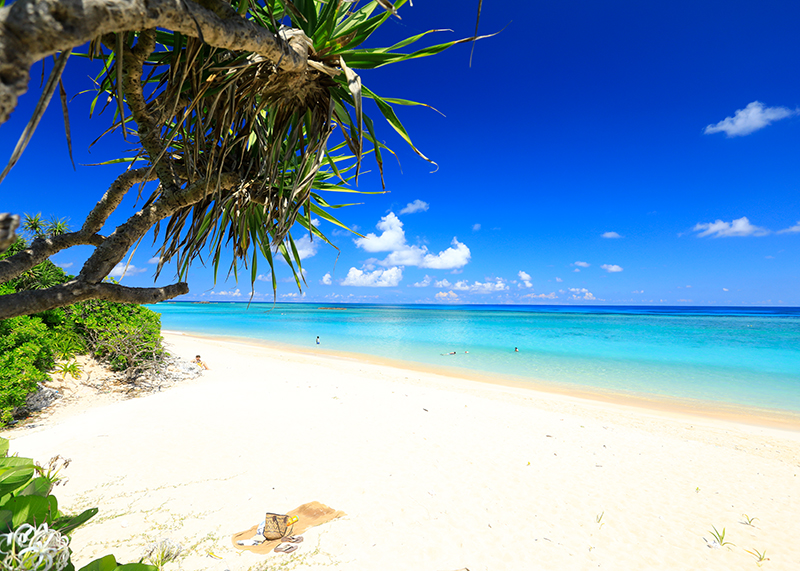 沖縄でダイビングライセンスを取るメリット