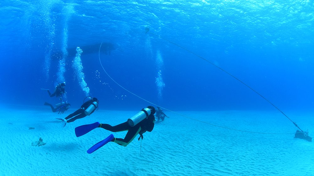 沖縄でライセンス取得する日程について