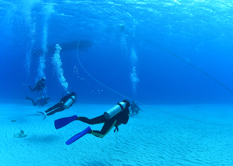 沖縄でライセンス取得する日程について