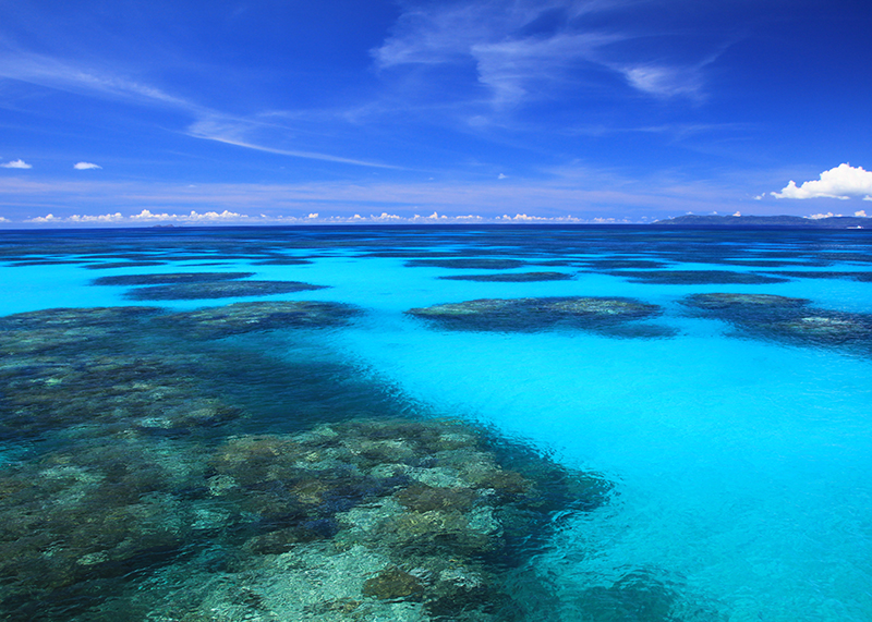 ダイビングライセンスの種類をご紹介