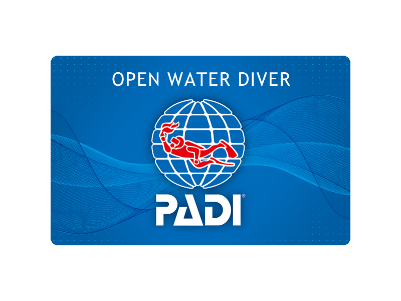 ブルー Cカード