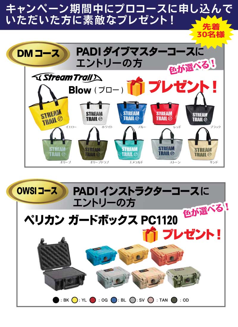 プロコースチャレンジキャンペーン特典