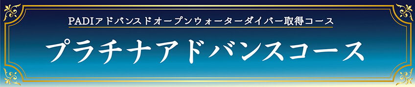 プラチナアドバンスコース