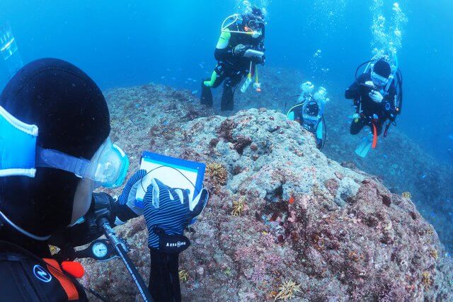 ディープ・サーチ&リカバリー