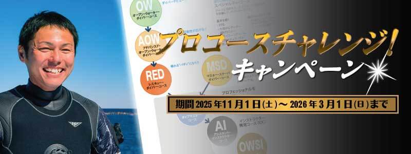 プロコースキャンペーンはこちら