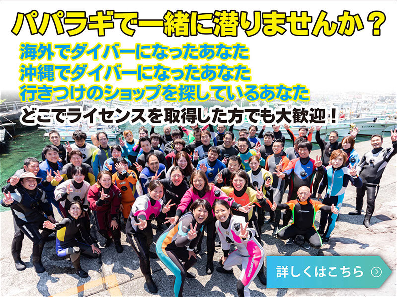 パパラギで一緒にもぐりませんか？