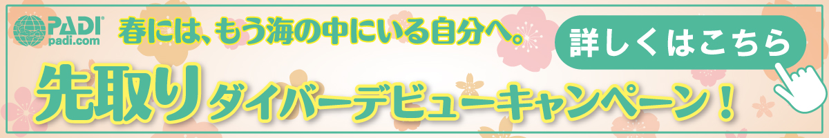 新春ダイバーデビューキャンペーン