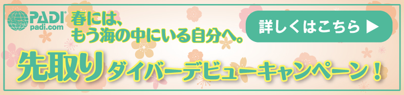 新春ダイバーデビューキャンペーン