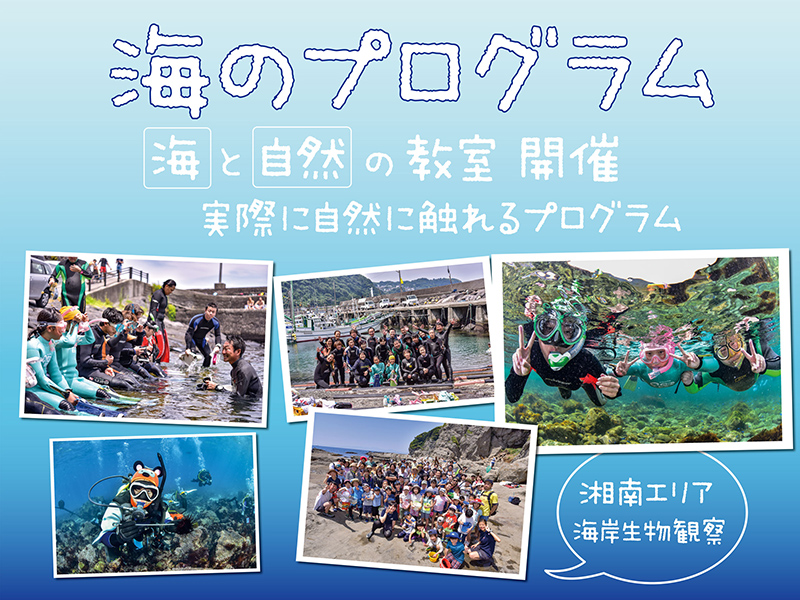 海のプログラム