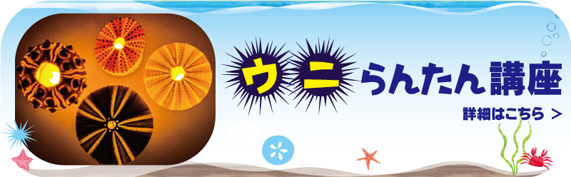ウニ らんたん講座 詳細はこちら
