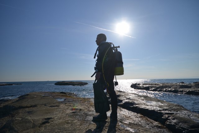 目指せプロフェッショナル！