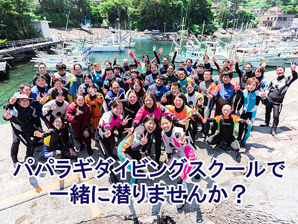 パパラギで一緒に潜りませんか？