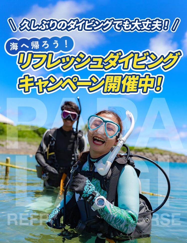 久しぶりのダイビングでも大丈夫！海へ帰ろう！リフレッシュダイビングキャンペーン開催中！