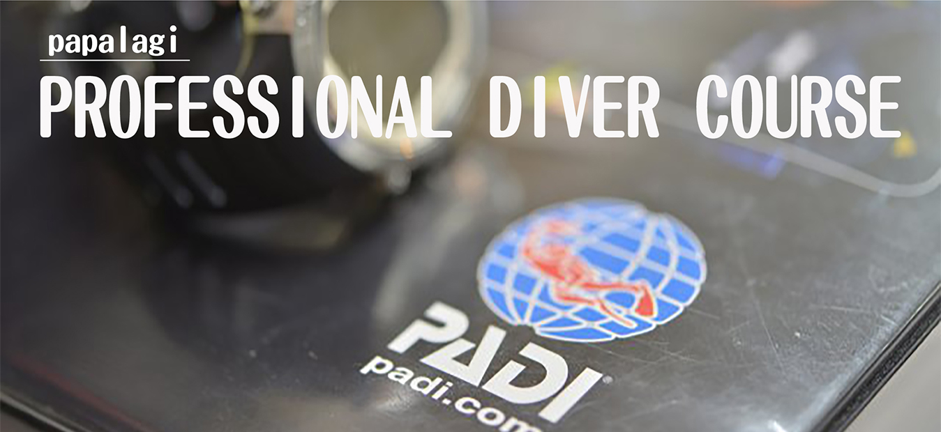 PADI プロコース