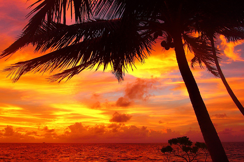 リゾートスタッフ募集情報