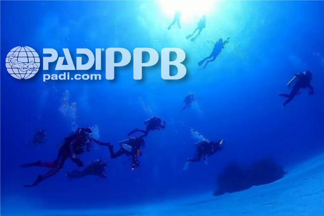 PADI中性浮力が上手になるセミナー～PPBスペシャルティー～