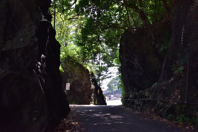 パパラギの一日