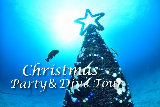 クリスマスパーティー&ダイブ