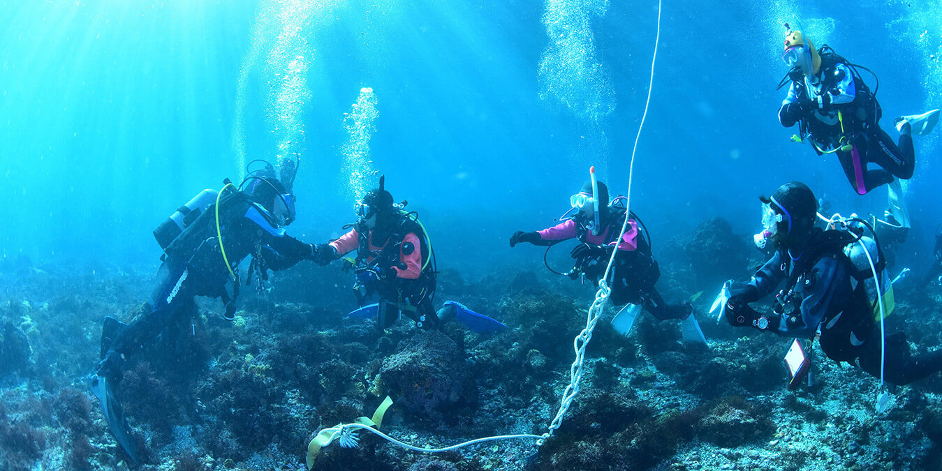 DMワークショップツアー