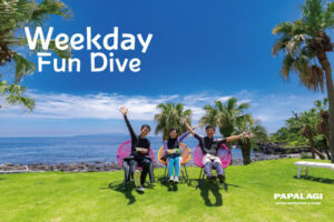 海の中　幸せな平日編