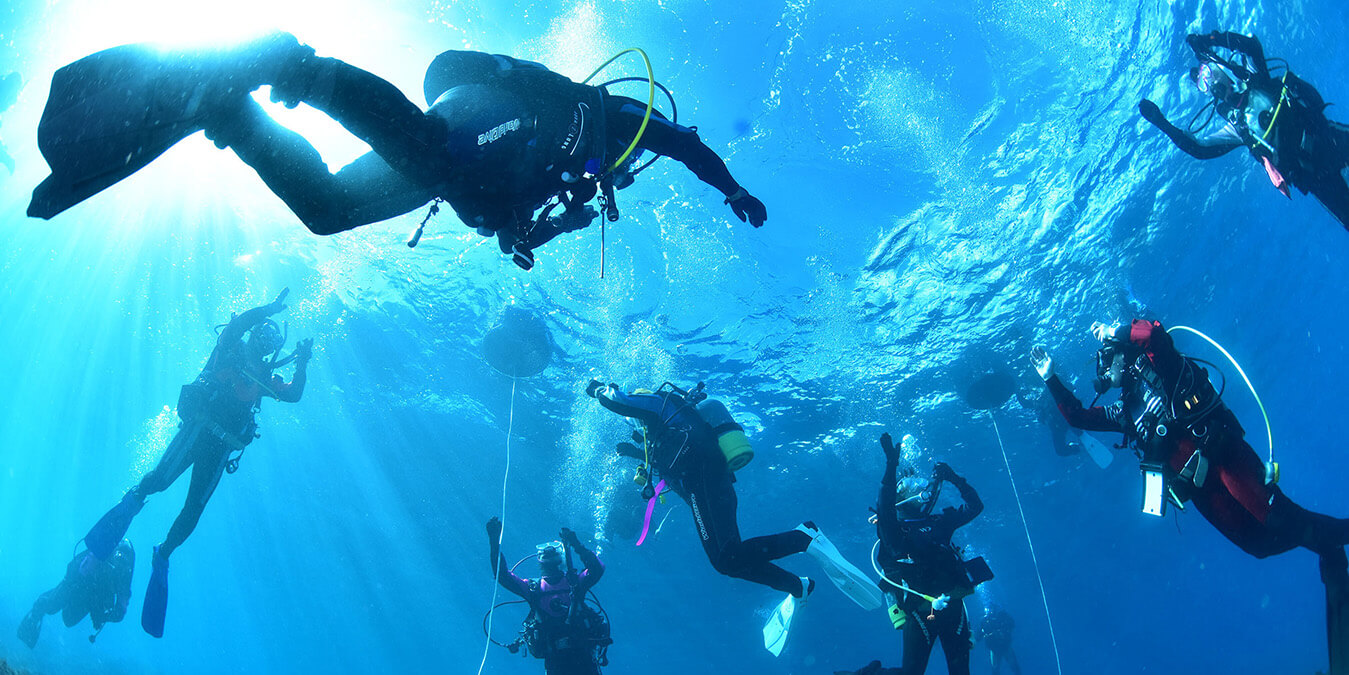ディープ・サーチ&リカバリー