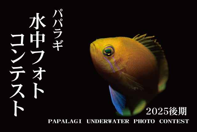 2025年フォトコン後期発表