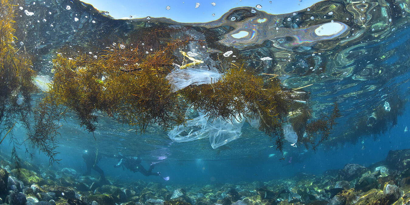 PADI水中ゴミ拾い・SP