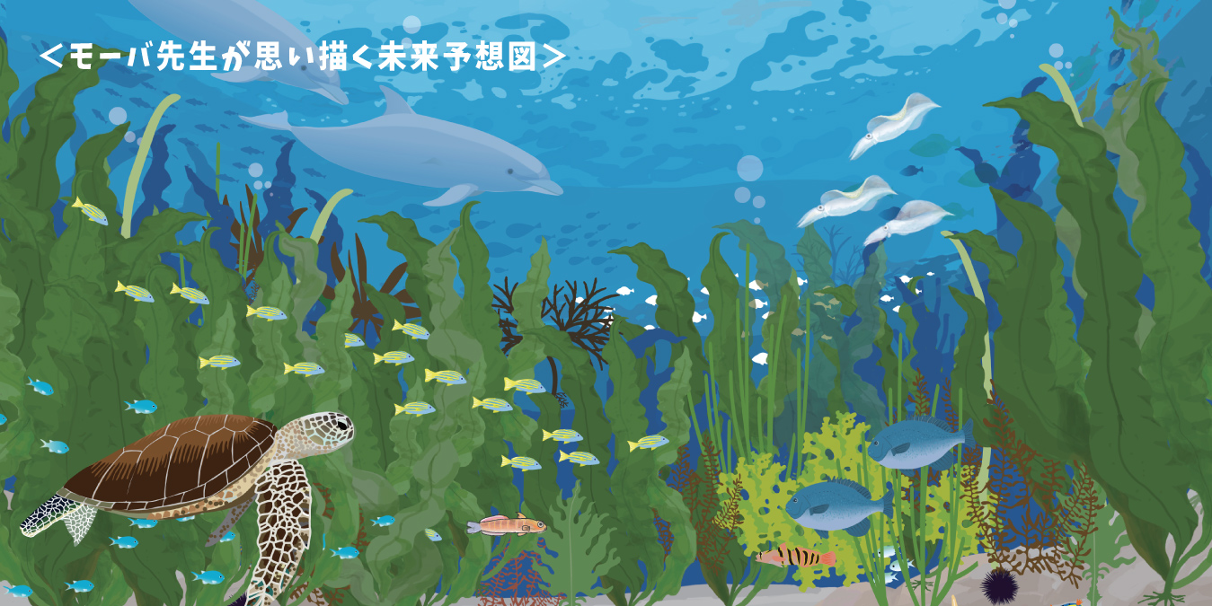 PADI江ノ島藻場・SP