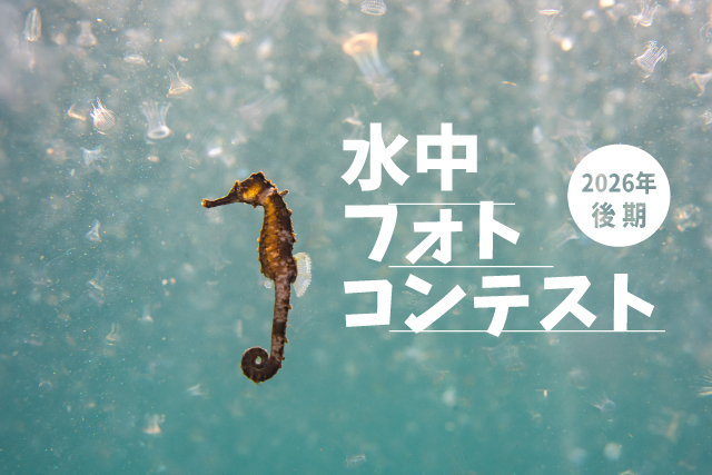 水中フォトコンテスト2026後期